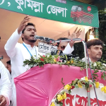 সরকারি সহযোগিতা নিয়ে এদেশে অনেক কিংস পার্টি গড়ে উঠেছে;নুরুল হক নুর