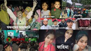 বুড়িচংয়ে ঘরের ভিতরে ঢুকে অন্তঃসত্ত্বা নারীকে হত্যা,গুরুতর আহত ৪