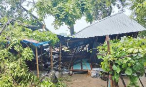 দমকা হাওয়ায় টিনশেড ঘর ধসে শিশুর মৃত্যু