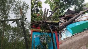 বৈশাখী ঝড়ে কুমিল্লার ১৭ উপজেলায় ক্ষয়ক্ষতি; ভেঙেছে ৭১টি খুঁটি,প্রায় ২৭ হাজার গ্রাহক বিদ্যুৎহীন