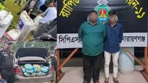 কুমিল্লায় ১শ’ কেজি গাঁজাসহ দুই মাদক ব্যবসায়ী গ্রেপ্তার