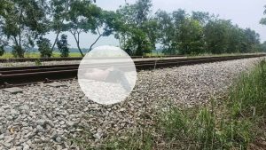কুমিল্লায় রেললাইনে যুবকের ছিন্নভিন্ন মরদেহ উদ্ধার