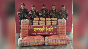 কুমিল্লার ব্রাহ্মণপাড়ায় বিজিবির অভিযানে ১২০ কেজি ভারতীয় গাঁজা জব্দ