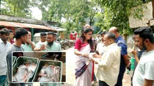 বুড়িচংয়ে ৩৭ কেজি নিষিদ্ধ পিরানহা মাছ জব্দ, ব্যবসায়ীকে জরিমানা 