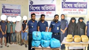 ব্রাহ্মণপাড়ায় পৃথক অভিযানে মাদকসহ ৮ জন নারী-পুরুষ গ্রেফতার