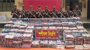 ব্রাহ্মণপাড়ায় সীমান্তে ১ কোটি ৭০ লক্ষাধিক টাকার ভারতীয় শাড়ি জব্দ