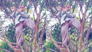 নেটওয়ার্কের খোঁজে আমগাছে উঠে অনলাইনে হাজিরা দিলেন শিক্ষক
