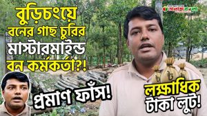 বুড়িচংয়ে সংরক্ষিত সরকারি বনের গাছ কাটার অভিযোগ বন কর্মকর্তার বিরুদ্ধে,কয়েক লক্ষাধিক টাকার বনসম্পদ লোপাট
