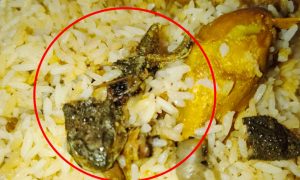 মোরগ পোলাওয়ের প্যাকেটে আস্ত ব্যাঙ,রেস্তোরাঁকে জরিমানা