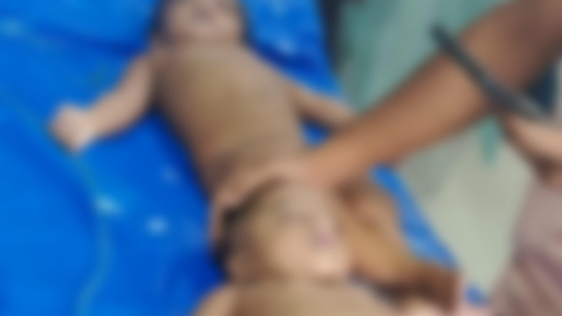 কুমিল্লায় পানিতে ডুবে জমজ দুই শিশুর মর্মান্তিক মৃত্যু