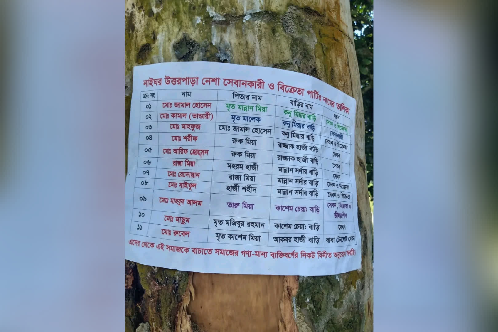 ব্রাহ্মণপাড়ায় গাছে মাদকসেবী-কারবারিদের নামের তালিকা, ছড়িয়েছে ফেসবুকে